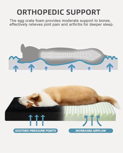 Orthopedic Dog Crate Bed with Egg Crate Foam & Washable Cover