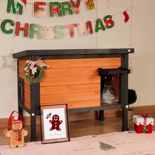 Insulated Cat House for Outdoor Cats