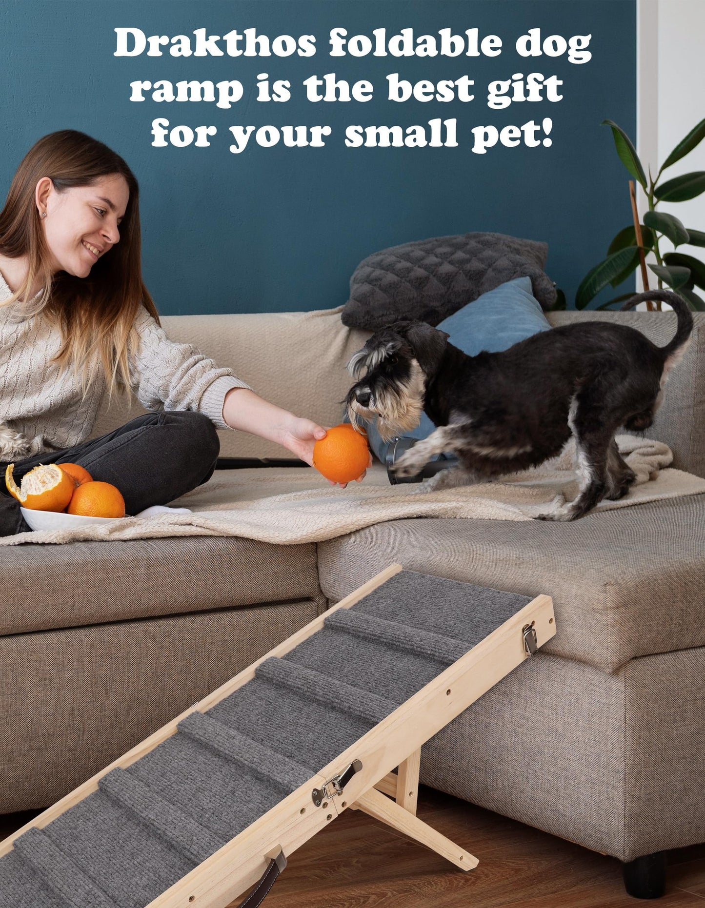 Foldable Adjustable Dog Ramp with Non-Slip Carpet for Couch