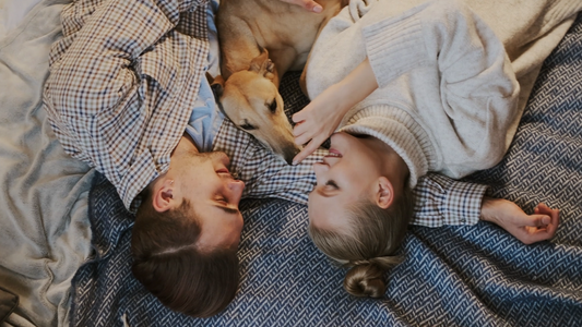 Why Quiet Moments With Your Pet Matter More Than You Think