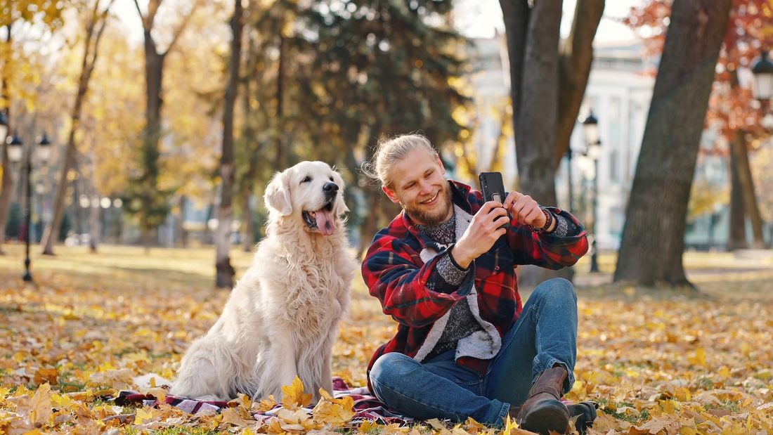 Outdoor Adventures and Why Dogs Love Them