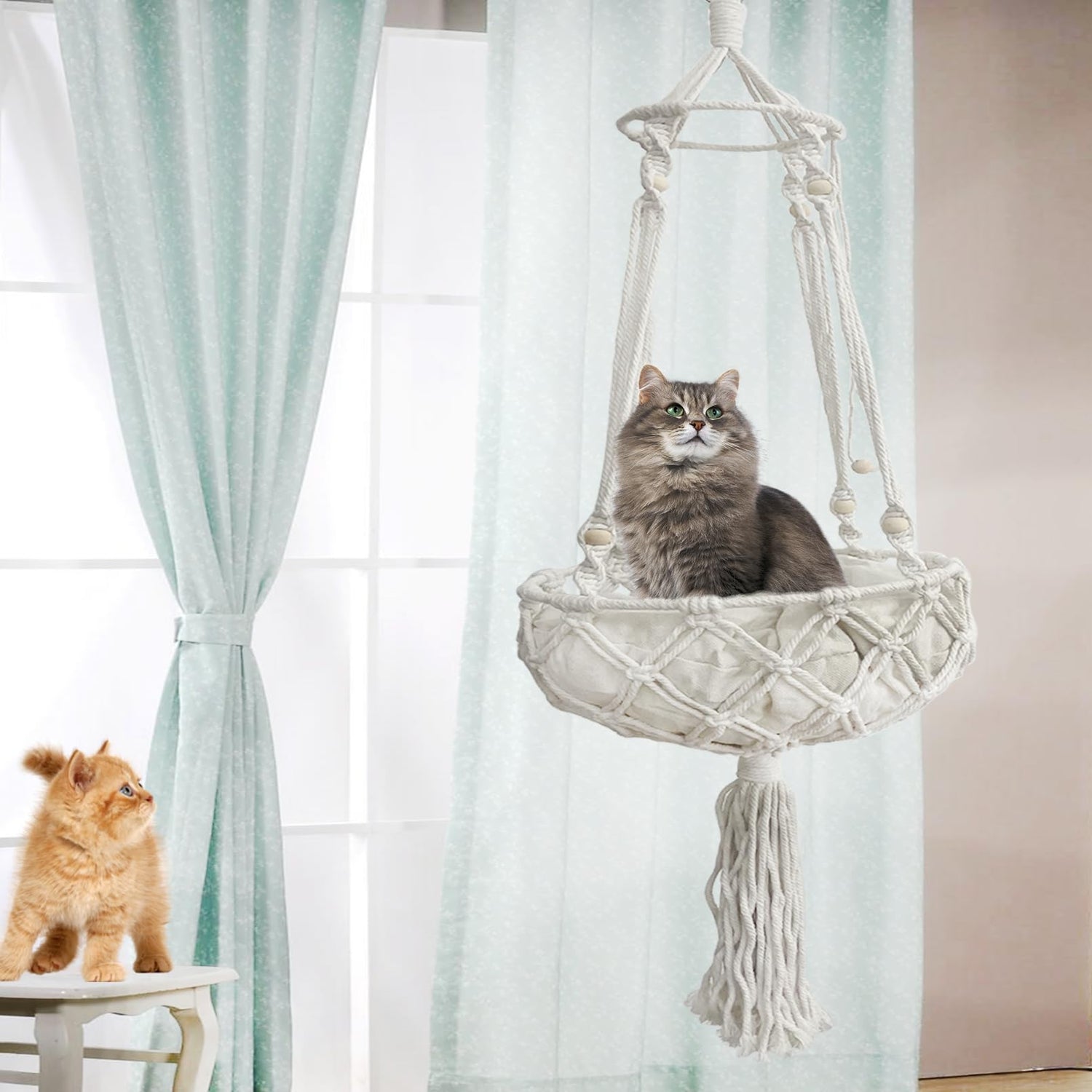 Hanging Cat Beds