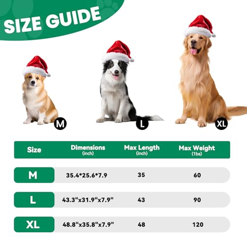 Elevated Dog Cot Bed with Breathable Mesh & Tool-Free Frame