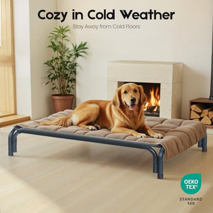 Elevated Dog Cot Bed with Breathable Mesh & Tool-Free Frame