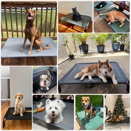 Elevated Dog Cot Bed with Breathable Mesh & Tool-Free Frame