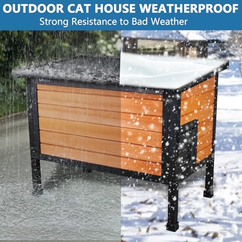 Insulated Cat House for Outdoor Cats