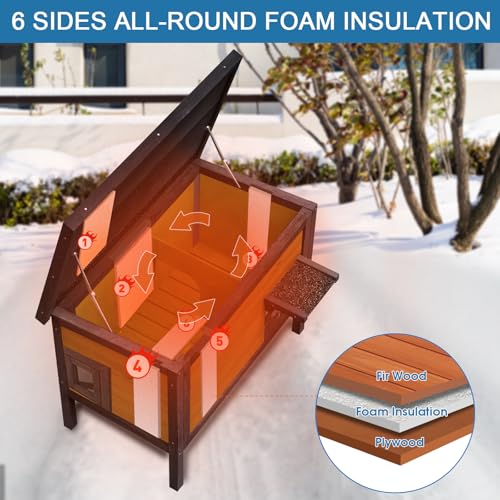 Insulated Cat House for Outdoor Cats