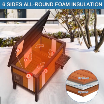 Insulated Cat House for Outdoor Cats