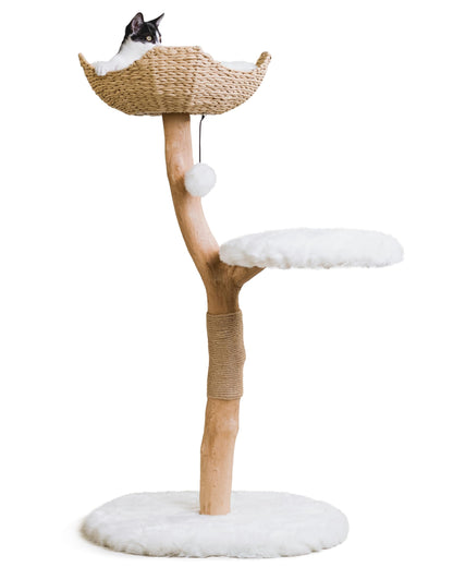 Modern Wooden Cat Tree Tower with Real Branch & Climbing Condo
