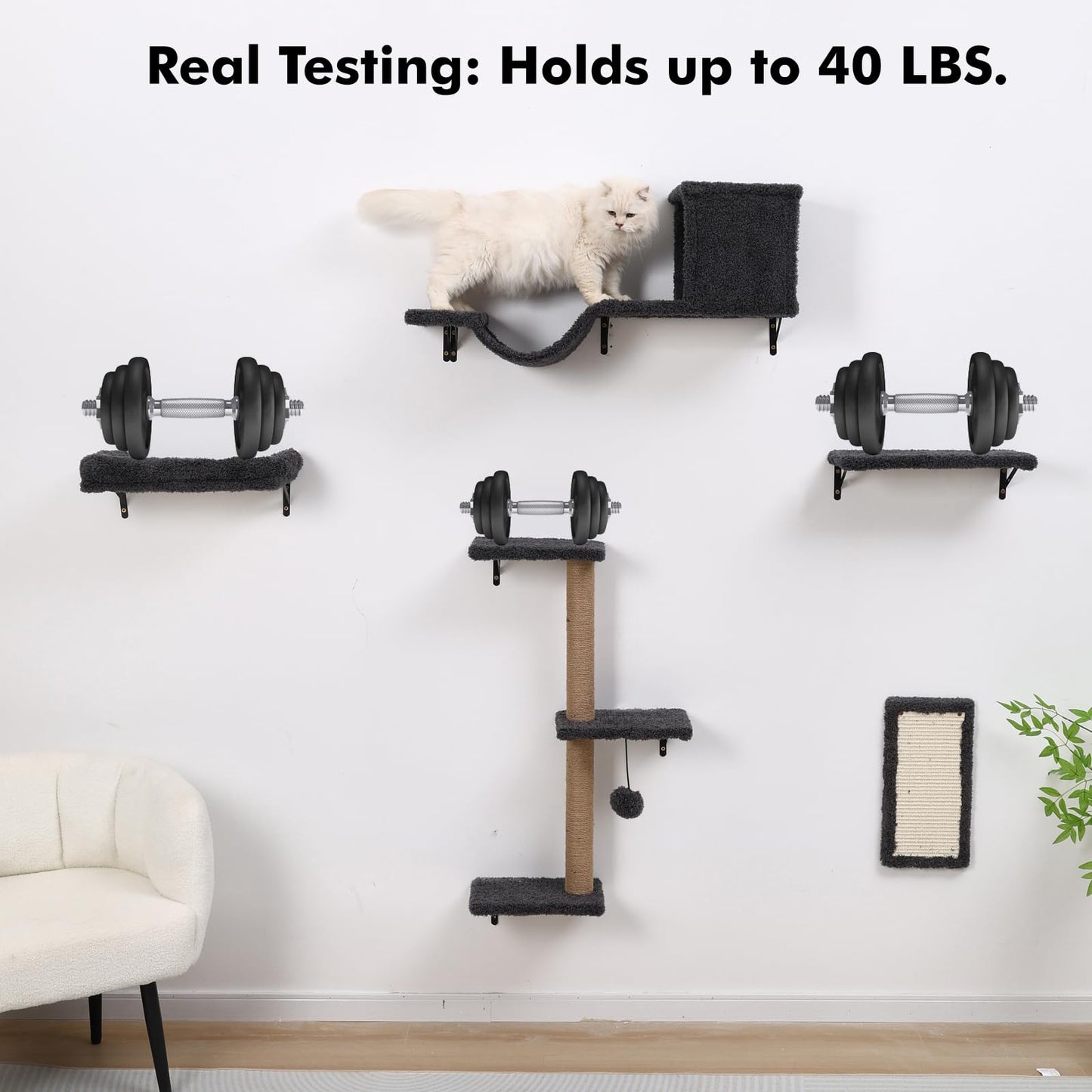 ZLAFM 5-in-1 Cat Wall Shelves