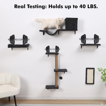ZLAFM 5-in-1 Cat Wall Shelves