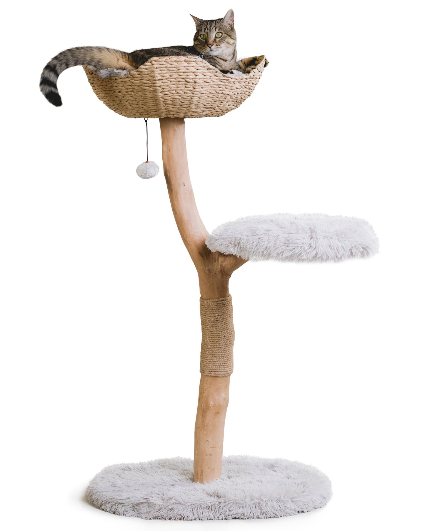 Modern Wooden Cat Tree Tower with Real Branch & Climbing Condo