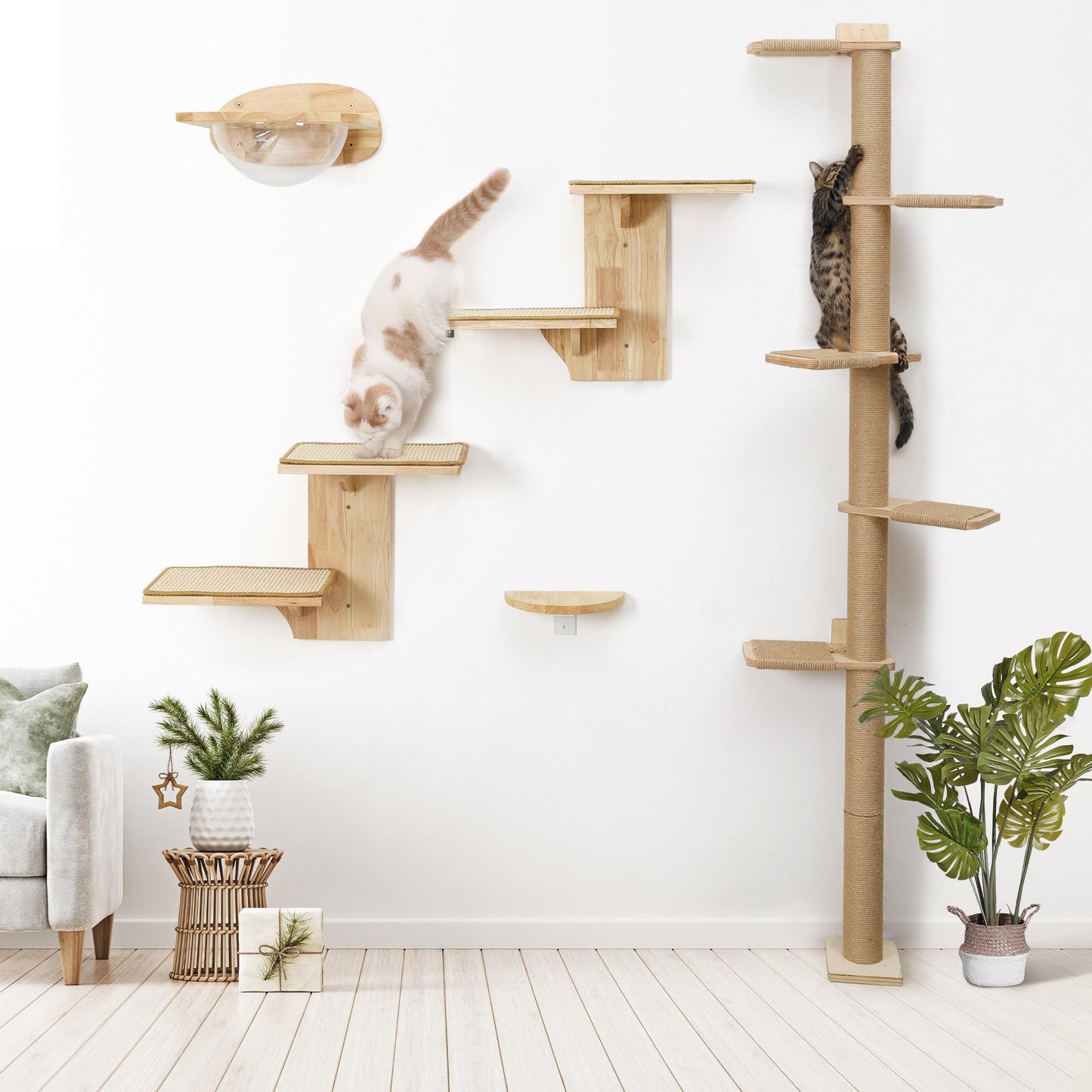 Tree Shape Cat Wall Shelves with Wooden Platforms for Climbing