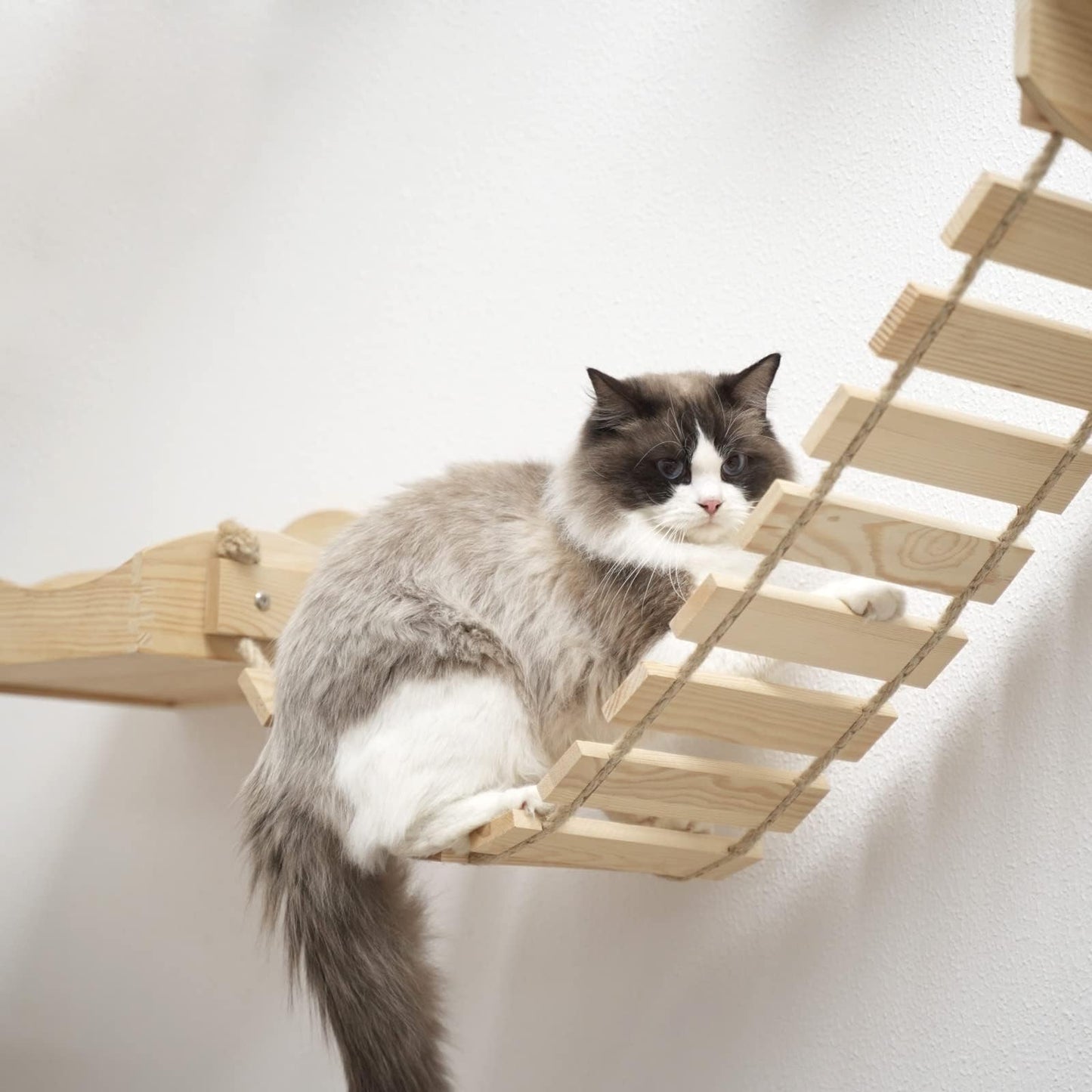 Paw Clap Wall-Mounted Cat Bridge, PC0015S