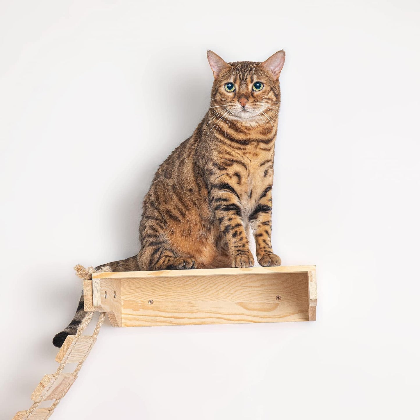 Paw Clap Wall-Mounted Cat Bridge, PC0015S