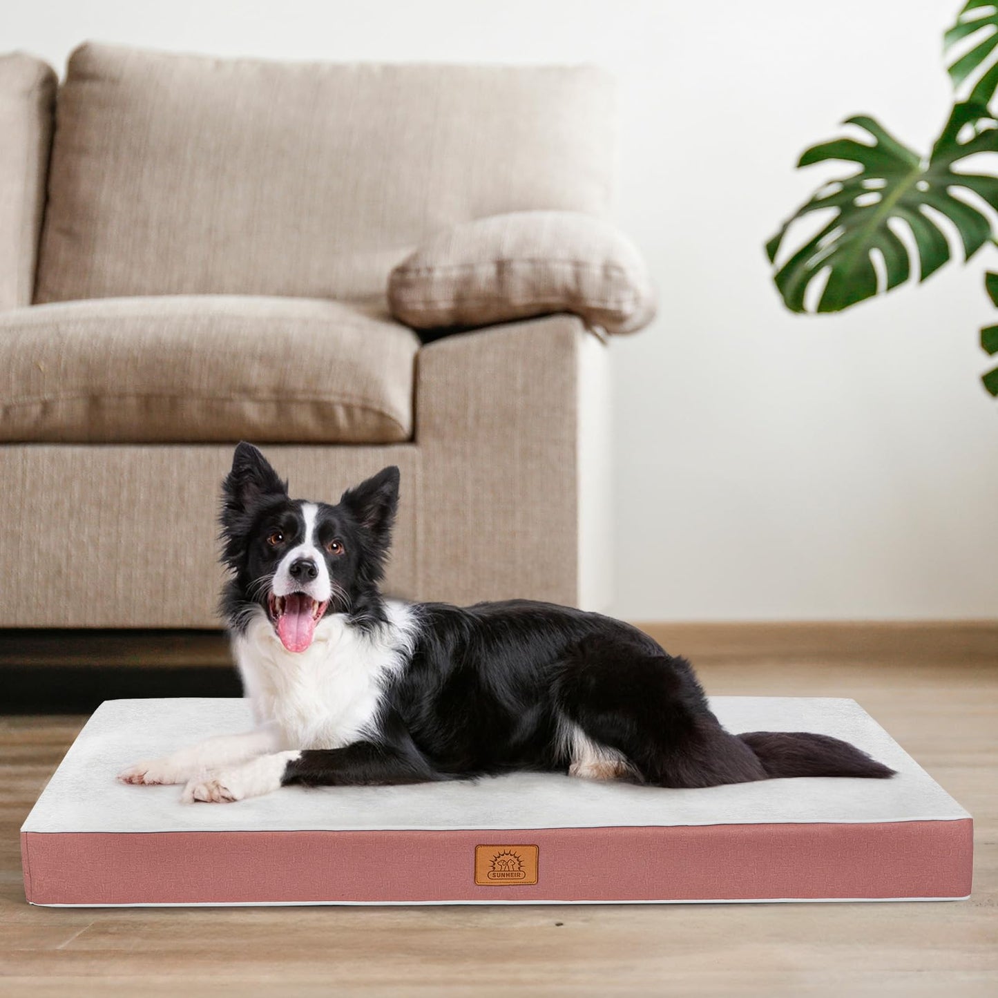 Orthopedic Dog Bed with Egg Crate Foam & Waterproof Cover