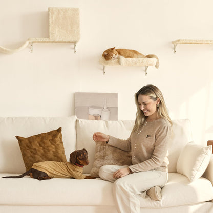 4-in-1 Cat Wall Climber Set with Bridge, Bed & Scratching Post