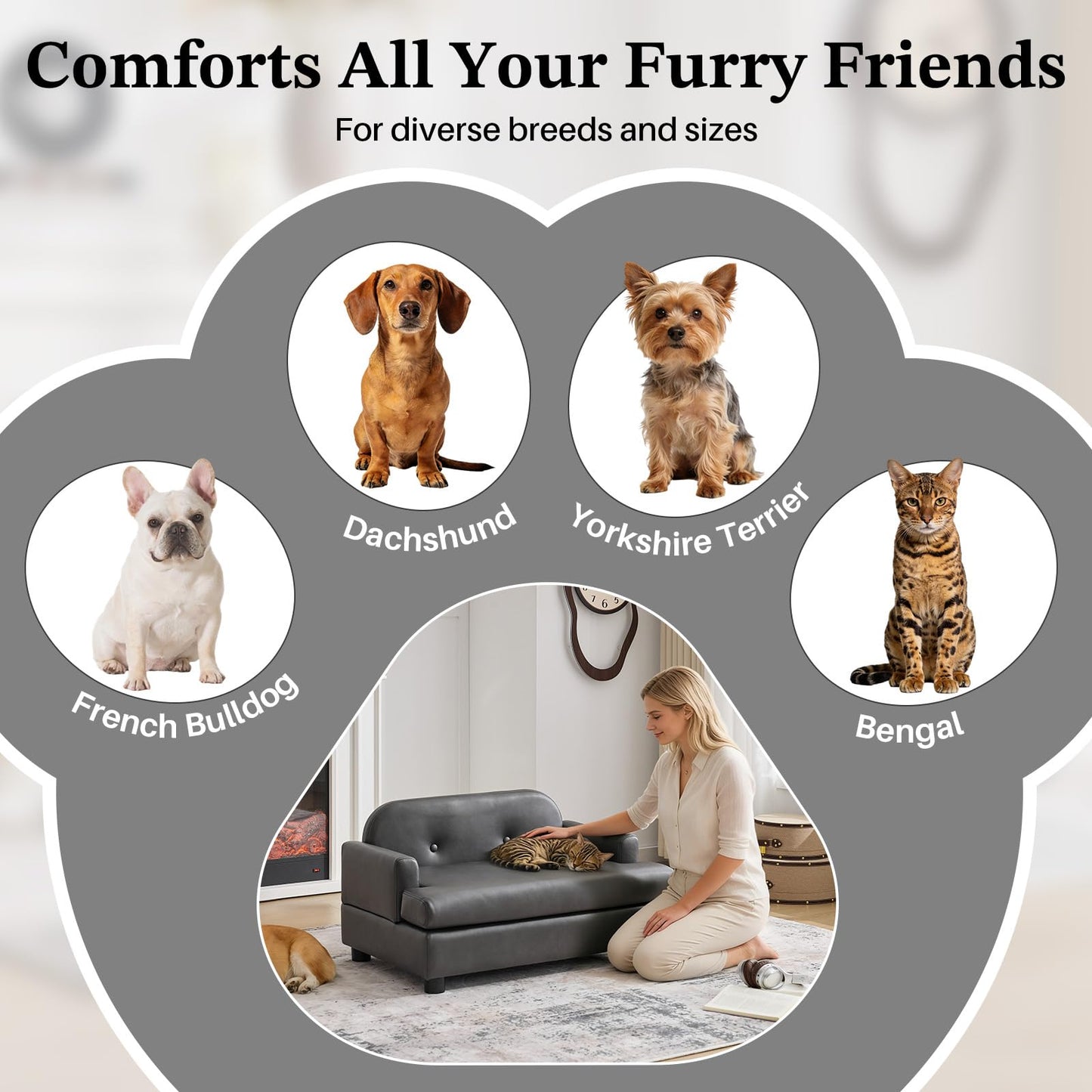 Luxury Elevated Dog Sofa Bed with Waterproof Leather & Foam Cushion