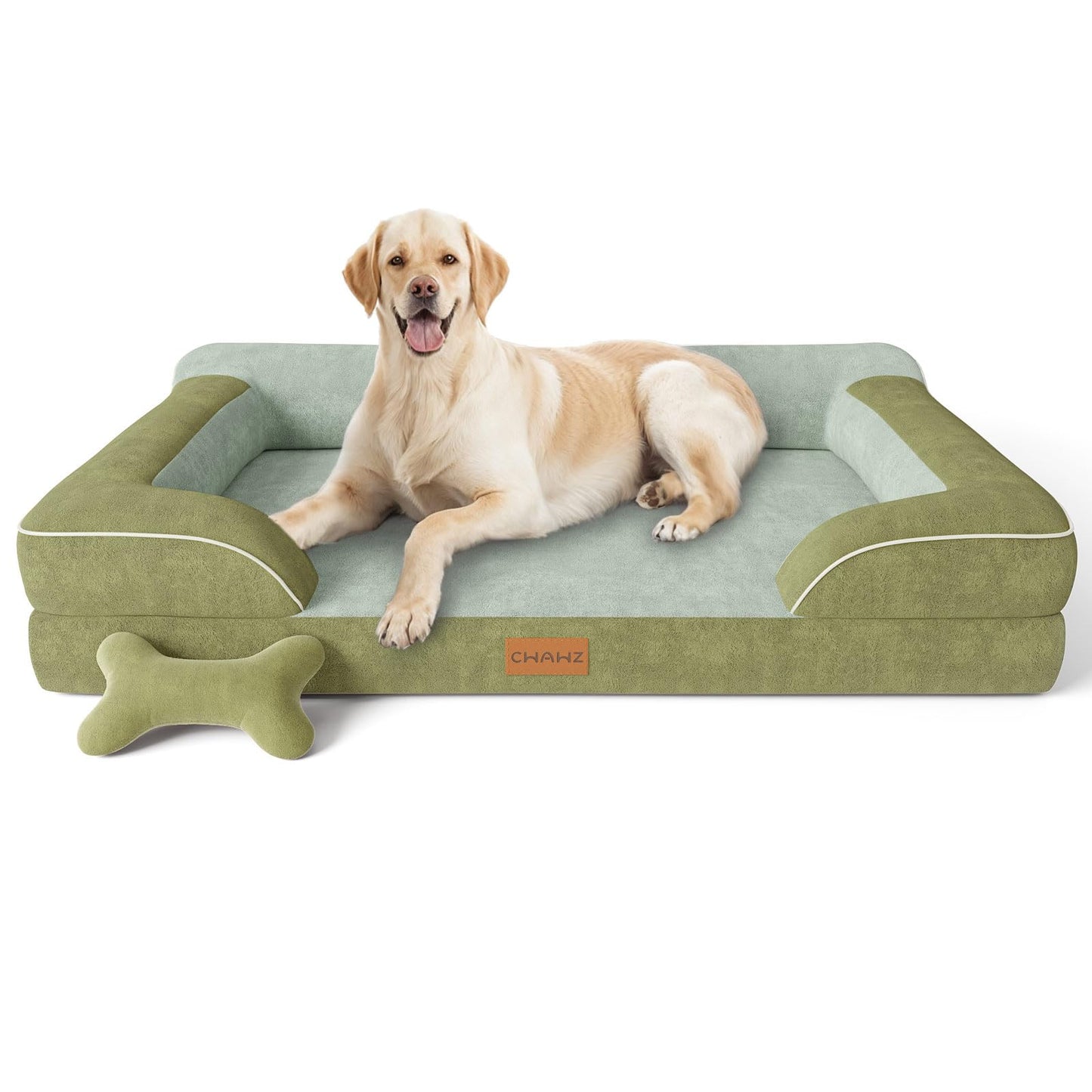 Big Dog Beds for Large Dogs