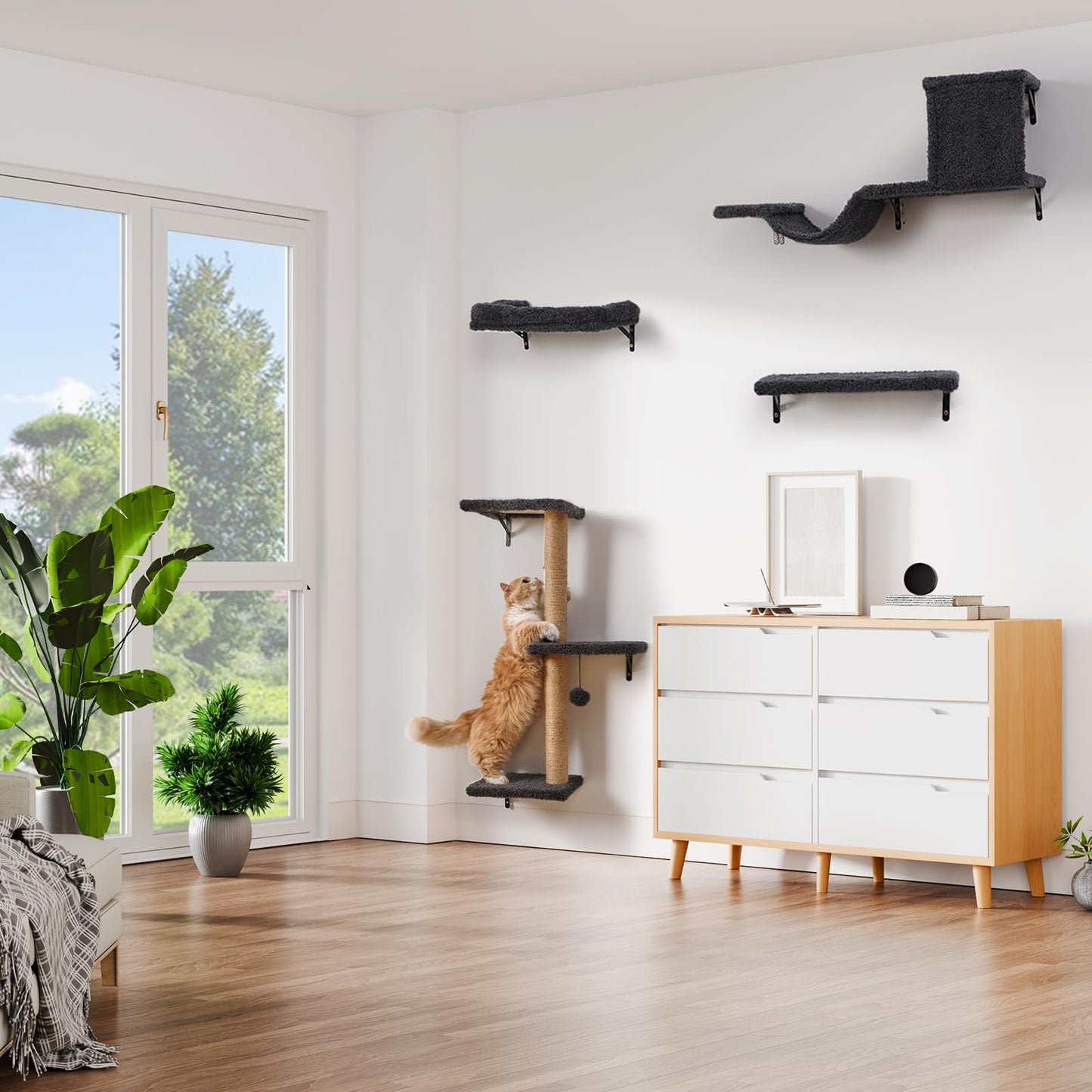 ZLAFM 5-in-1 Cat Wall Shelves