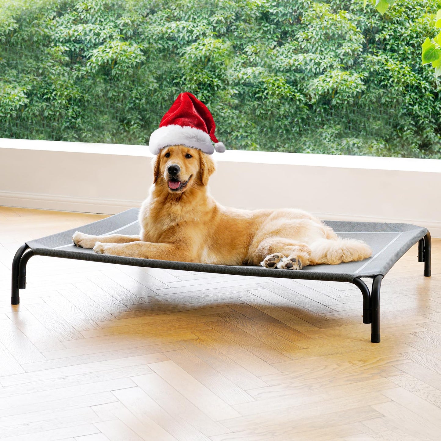 Elevated Dog Cot Bed with Breathable Mesh & Tool-Free Frame