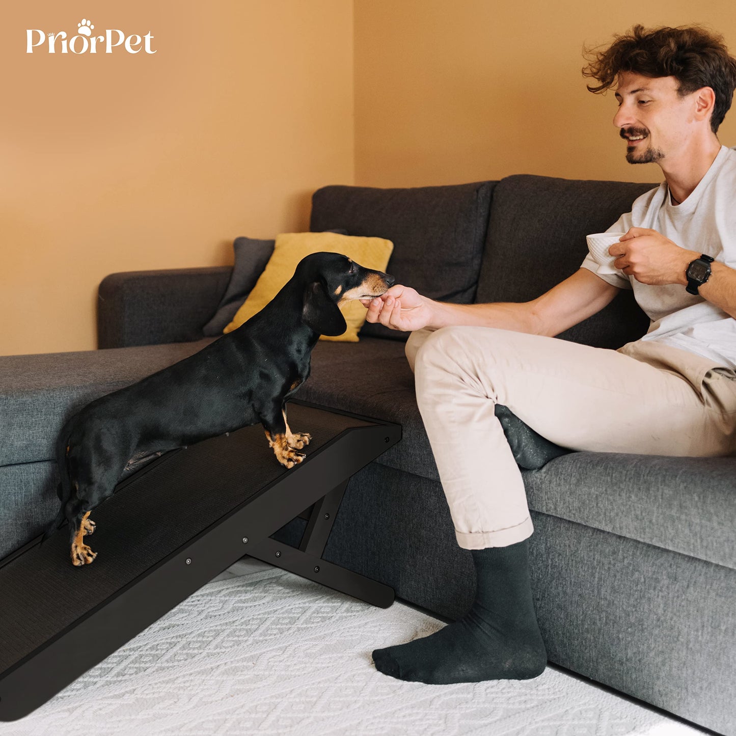 Dog Ramp Foldable Dog Stairs for Bed Couch Car Birchwood Steps Small Dogs