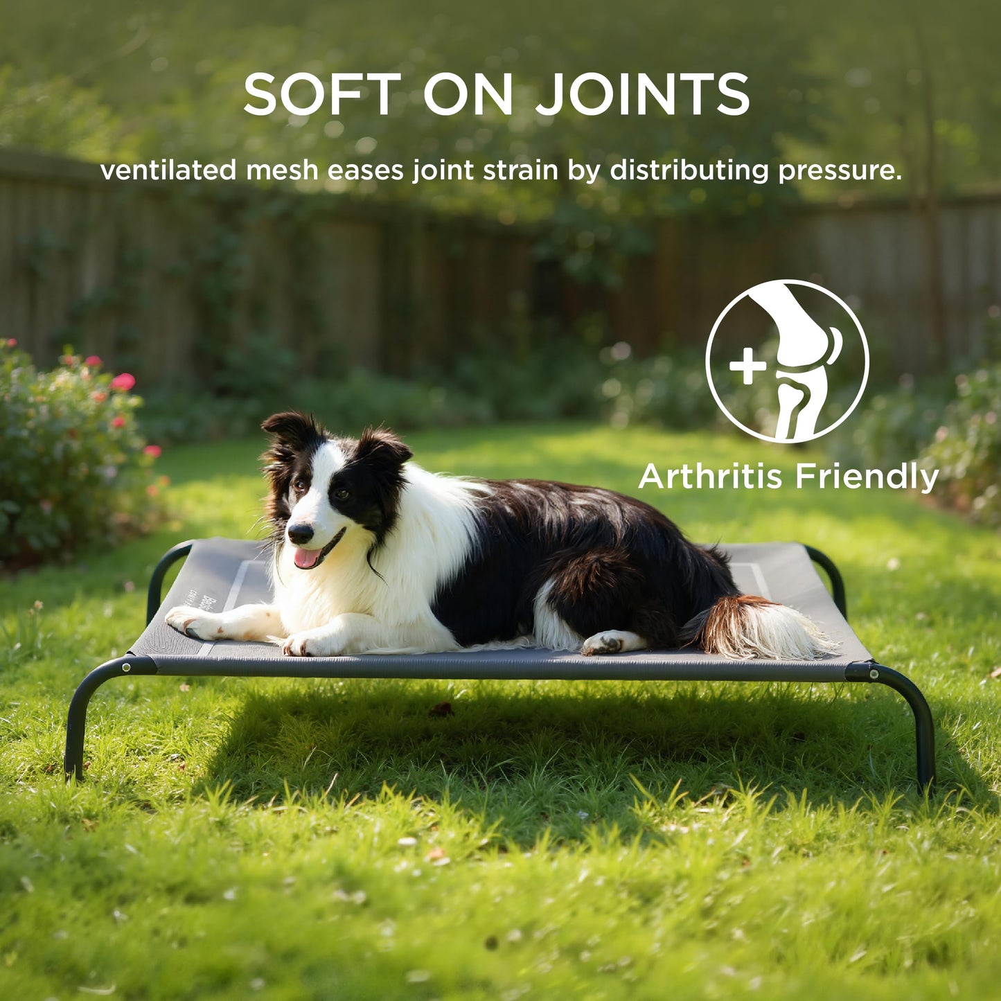 Cooling Elevated Dog Bed with Breathable Mesh & Stable Frame