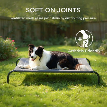 Cooling Elevated Dog Bed with Breathable Mesh & Stable Frame