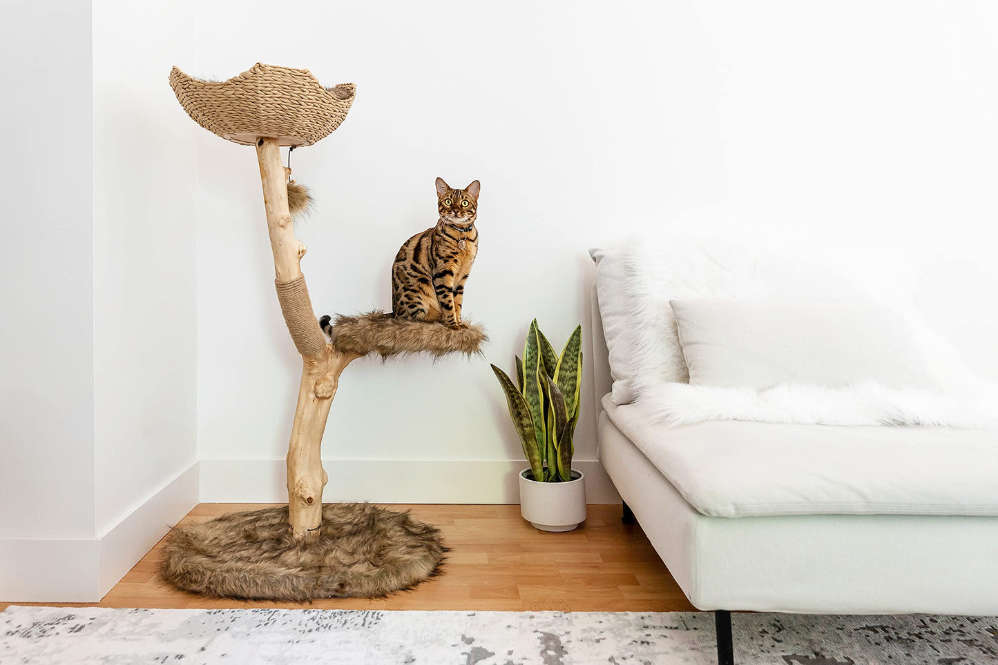 Modern Wooden Cat Tree Tower with Real Branch & Climbing Condo