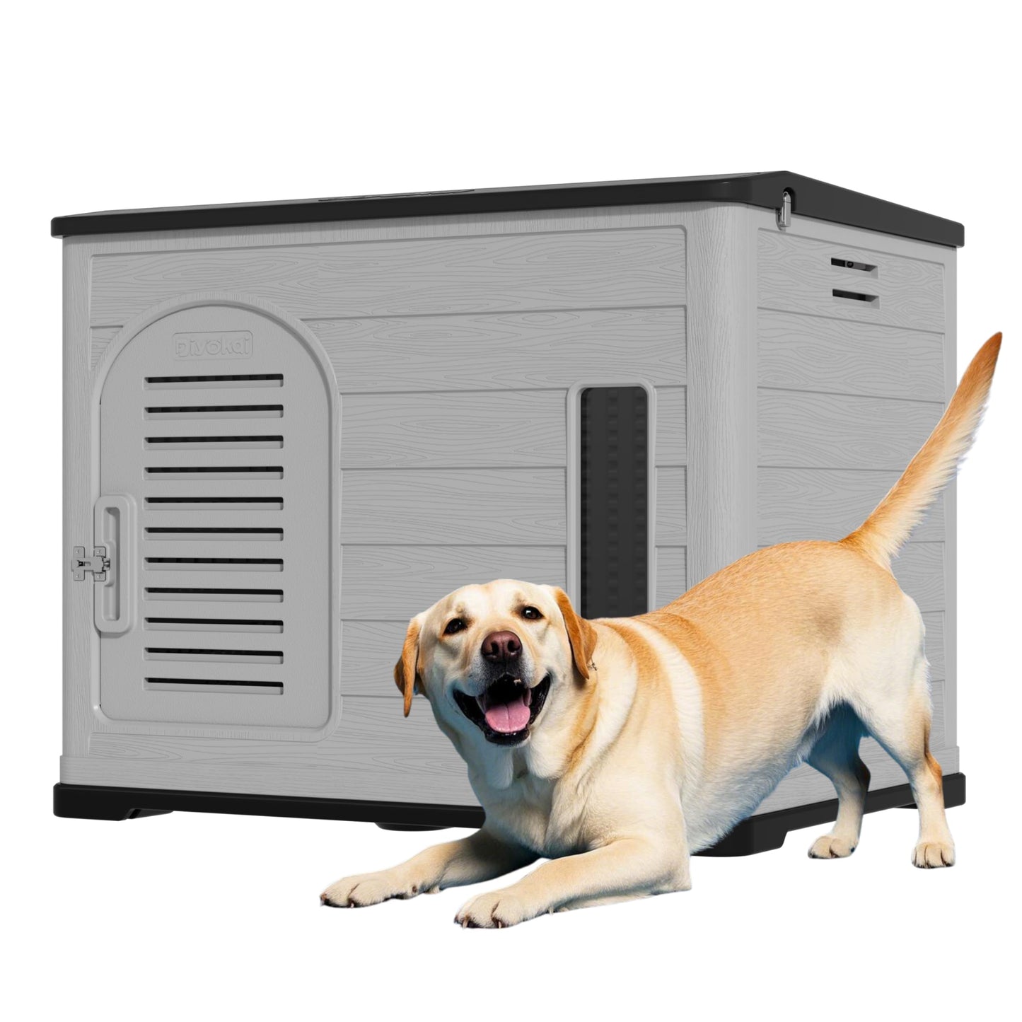 Durable Plastic Dog House with Lockable Door & Elevated Floor