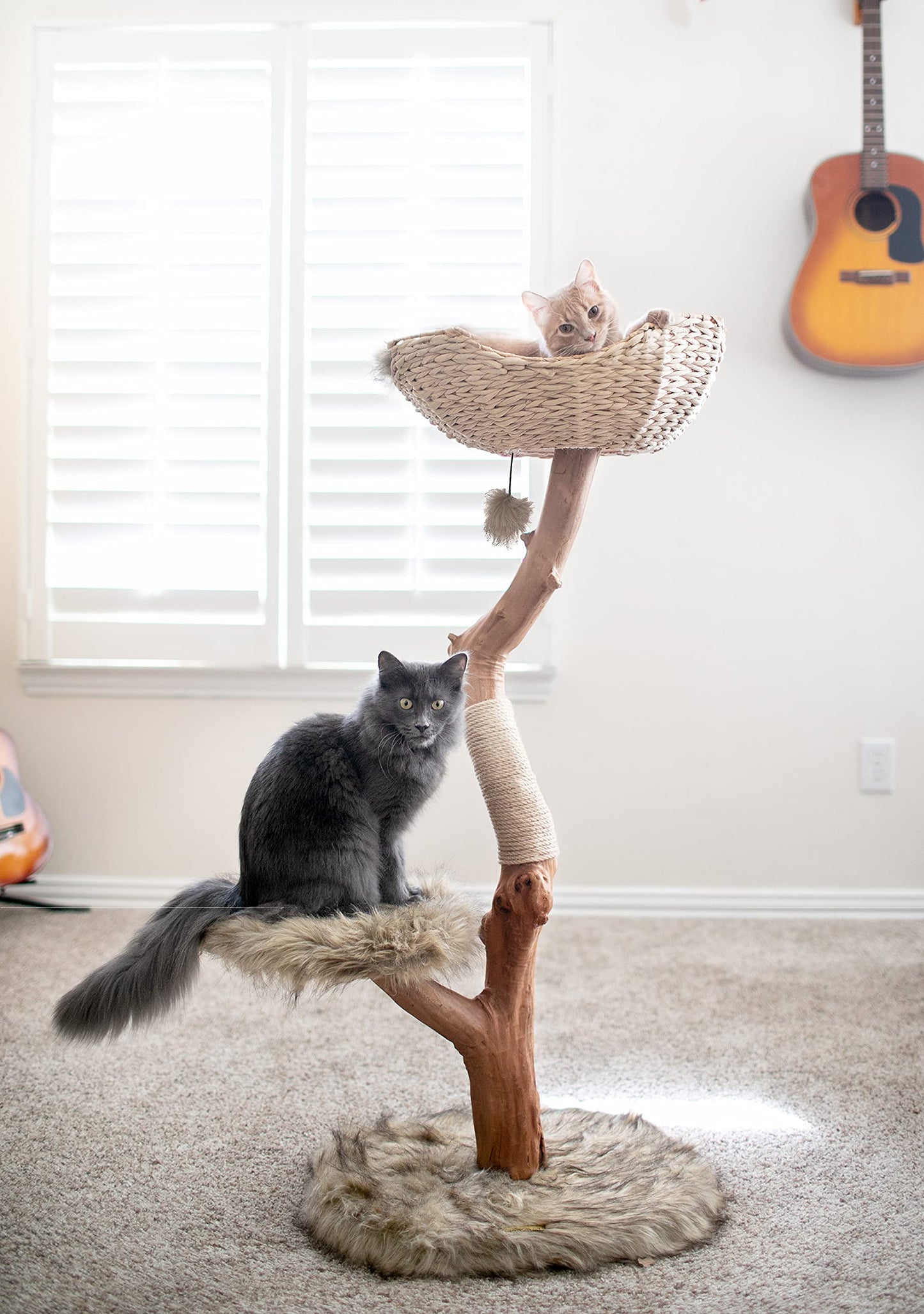 Modern Wooden Cat Tree Tower with Real Branch & Climbing Condo