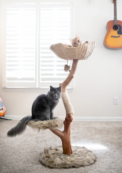 Modern Wooden Cat Tree Tower with Real Branch & Climbing Condo