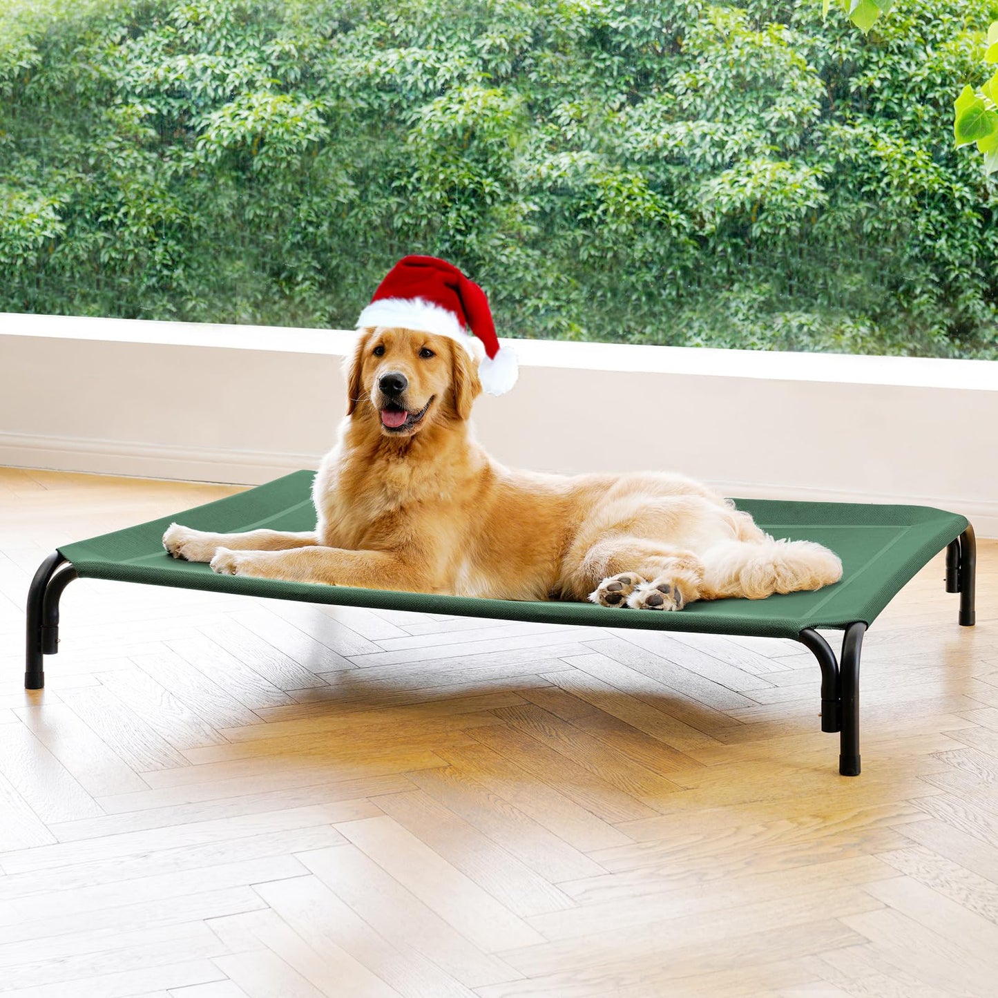 Elevated Dog Cot Bed with Breathable Mesh & Tool-Free Frame