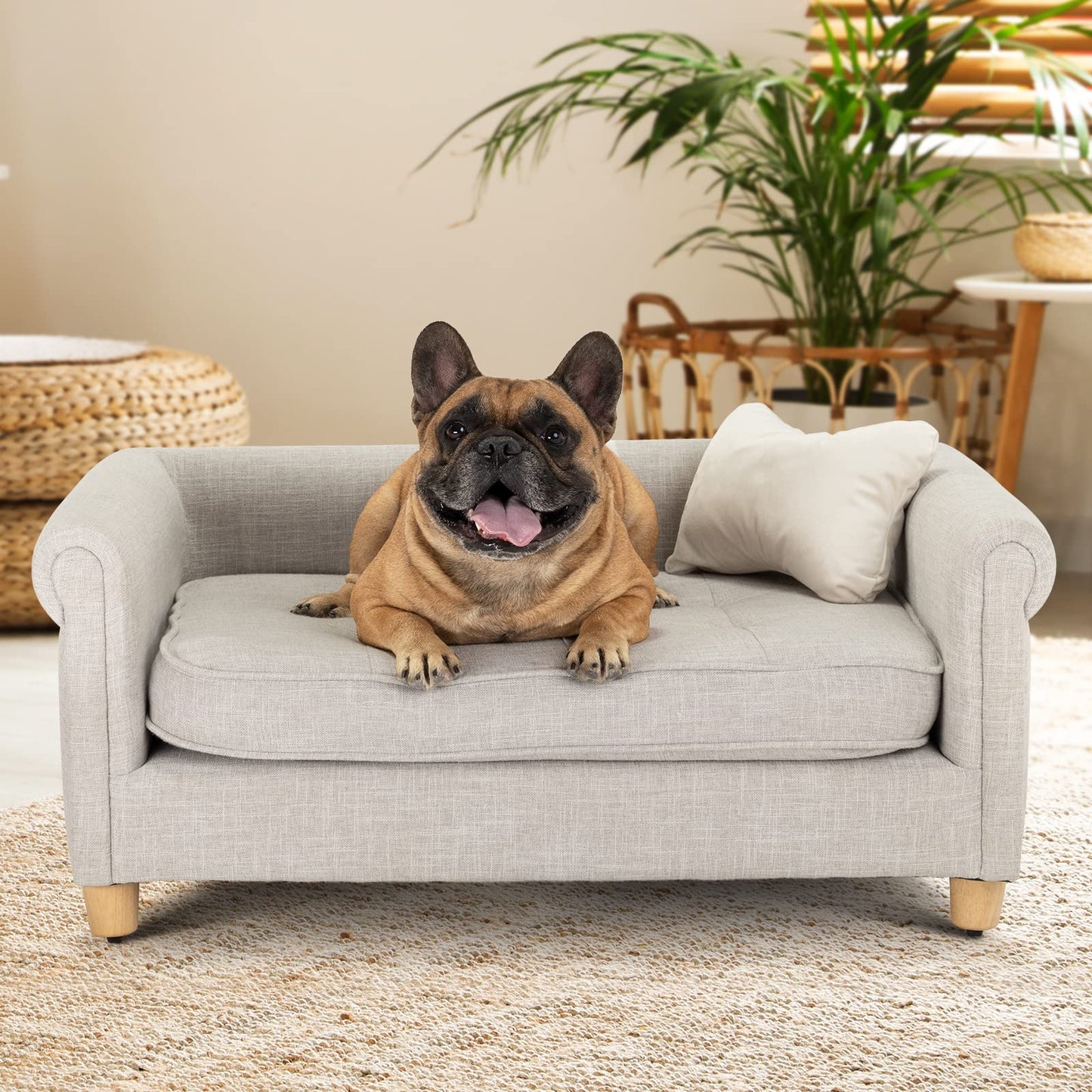 Velvet Pet Sofa Bed with Cushion Support for Dogs & Cats