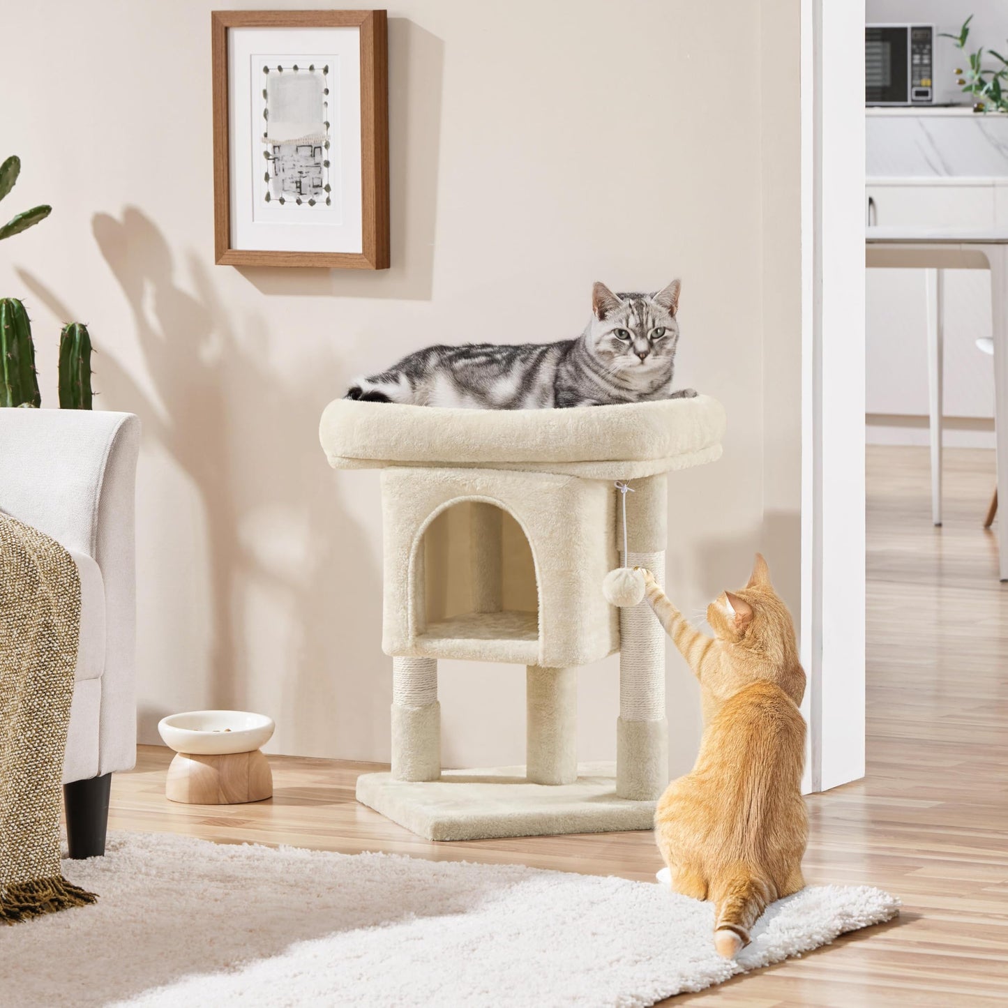 23.5" Cat Tree Tower with Condo & Sisal Scratching Posts for Kittens