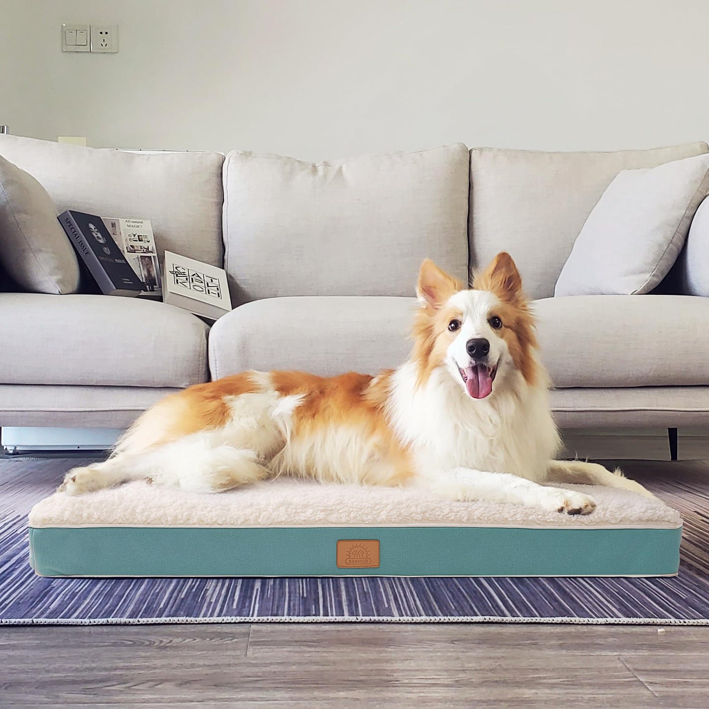 Orthopedic Dog Bed with Egg Crate Foam & Waterproof Cover