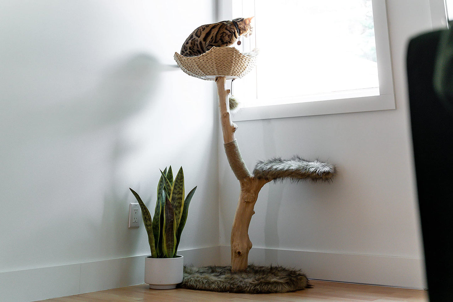 Modern Wooden Cat Tree Tower with Real Branch & Climbing Condo