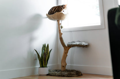 Modern Wooden Cat Tree Tower with Real Branch & Climbing Condo