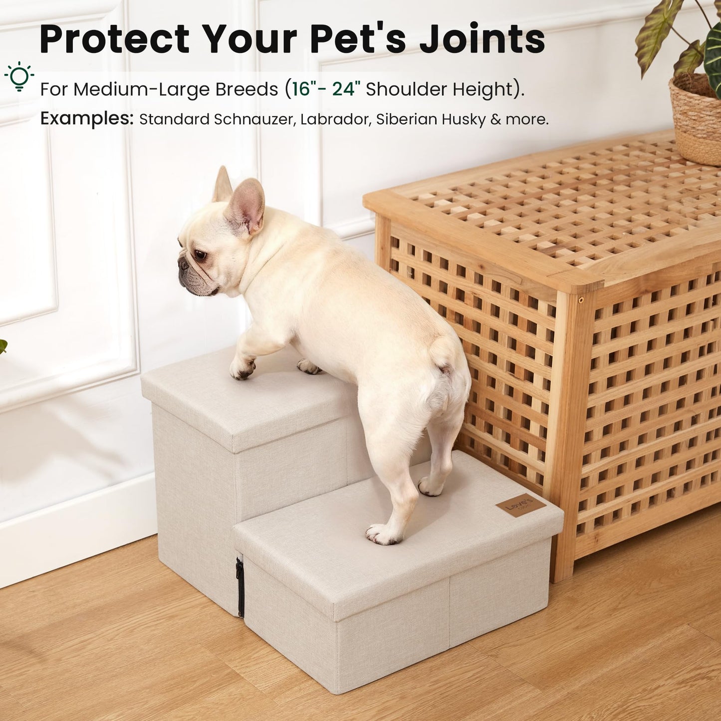 Foldable 3-Step Pet Ramp with Storage & Adjustable Height